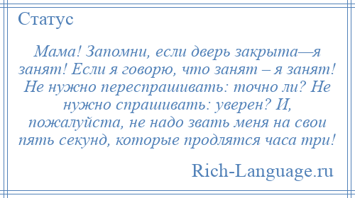 
    Мама! Запомни, если дверь закрыта—я занят! Если я говорю, что занят – я занят! Не нужно переспрашивать: точно ли? Не нужно спрашивать: уверен? И, пожалуйста, не надо звать меня на свои пять секунд, которые продлятся часа три!