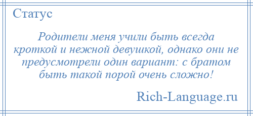 
    Родители меня учили быть всегда кроткой и нежной девушкой, однако они не предусмотрели один вариант: с братом быть такой порой очень сложно!