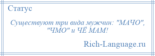 
    Существуют три вида мужчин: МАЧО , ЧМО и ЧЁ МАМ!