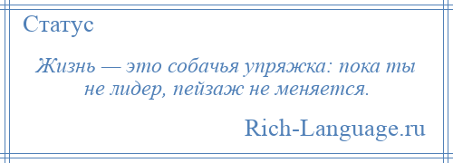 
    Жизнь — это собачья упряжка: пока ты не лидер, пейзаж не меняется.