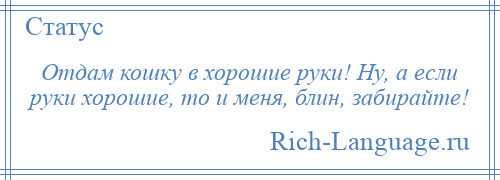 
    Отдам кошку в хорошие руки! Ну, а если руки хорошие, то и меня, блин, забирайте!