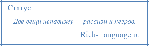 
    Две вещи ненавижу — рассизм и негров.