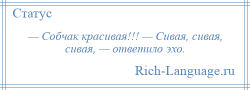 
    — Собчак красивая!!! — Сивая, сивая, сивая, — ответило эхо.