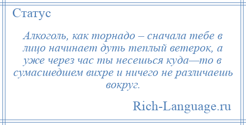 
    Алкоголь, как торнадо – сначала тебе в лицо начинает дуть теплый ветерок, а уже через час ты несешься куда—то в сумасшедшем вихре и ничего не различаешь вокруг.