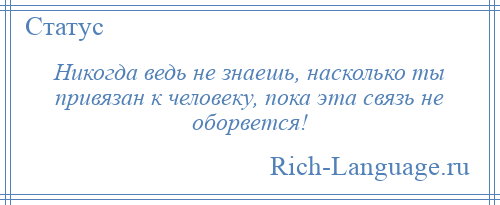 
    Никогда ведь не знаешь, насколько ты привязан к человеку, пока эта связь не оборвется!