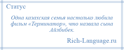 
    Одна казахская семья настолько любила фильм «Терминатор», что назвала сына Айлбибек.