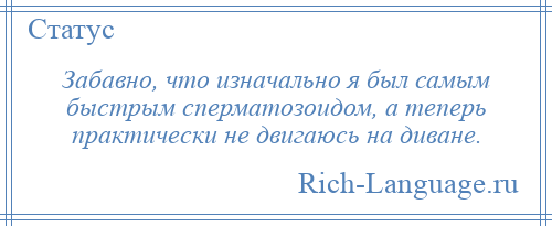 
    Забавно, что изначально я был самым быстрым сперматозоидом, а теперь практически не двигаюсь на диване.