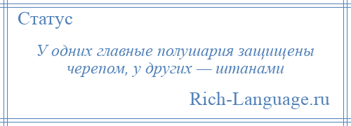 
    У одних главные полушария защищены черепом, у других — штанами