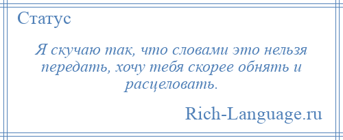 
    Я скучаю так, что словами это нельзя передать, хочу тебя скорее обнять и расцеловать.