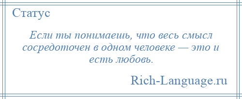 
    Если ты понимаешь, что весь смысл сосредоточен в одном человеке — это и есть любовь.