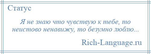 
    Я не знаю что чувствую к тебе, то неистово ненавижу, то безумно люблю...