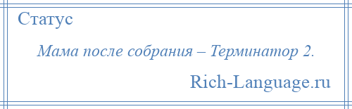 
    Мама после собрания – Терминатор 2.