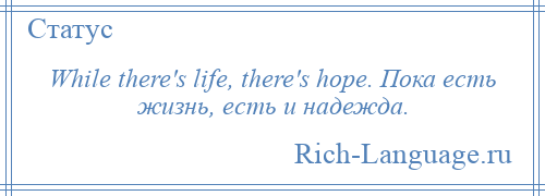 
    While there's life, there's hope. Пока есть жизнь, есть и надежда.