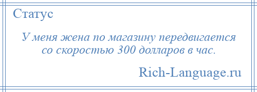 
    У меня жена по магазину передвигается со скоростью 300 долларов в час.