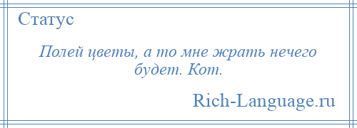 
    Полей цветы, а то мне жрать нечего будет. Кот.