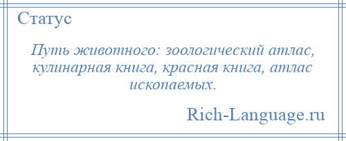 
    Путь животного: зоологический атлас, кулинарная книга, красная книга, атлас ископаемых.