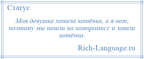 
    Моя девушка хотела котёнка, а я нет, поэтому мы пошли на компромисс и завели котёнка.