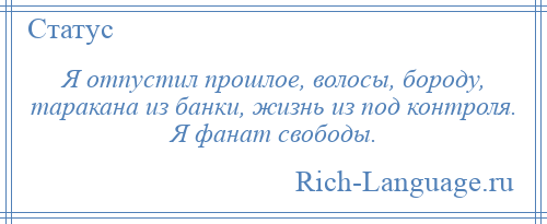 
    Я отпустил прошлое, волосы, бороду, таракана из банки, жизнь из под контроля. Я фанат свободы.