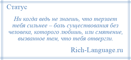 
    Ни когда ведь не знаешь, что терзает тебя сильнее – боль существования без человека, которого любишь, или смятение, вызванное тем, что тебя отвергли.