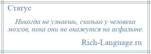 
    Никогда не узнаешь, сколько у человека мозгов, пока они не окажутся на асфальте.