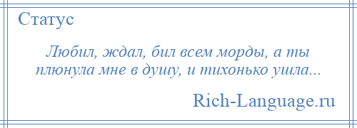 
    Любил, ждал, бил всем морды, а ты плюнула мне в душу, и тихонько ушла...
