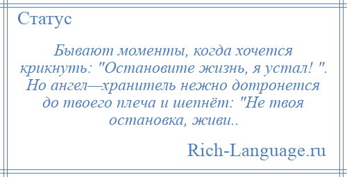 
    Бывают моменты, когда хочется крикнуть: Остановите жизнь, я устал! . Но ангел—хранитель нежно дотронется до твоего плеча и шепнёт: Не твоя остановка, живи..