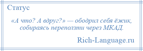 
    «А что? А вдруг?» — ободрил себя ёжик, собираясь переползти через МКАД.