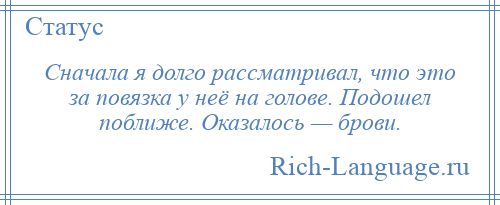 
    Сначала я долго рассматривал, что это за повязка у неё на голове. Подошел поближе. Оказалось — брови.