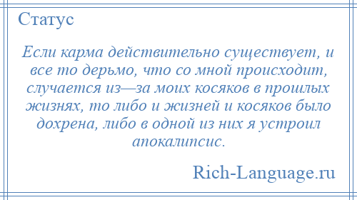 
    Если карма действительно существует, и все то дерьмо, что со мной происходит, случается из—за моих косяков в прошлых жизнях, то либо и жизней и косяков было дохрена, либо в одной из них я устроил апокалипсис.