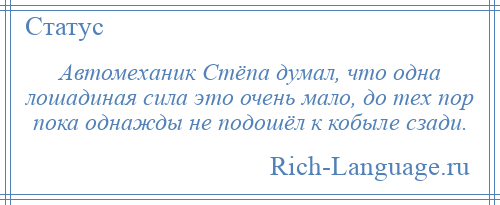 
    Автомеханик Стёпа думал, что одна лошадиная сила это очень мало, до тех пор пока однажды не подошёл к кобыле сзади.