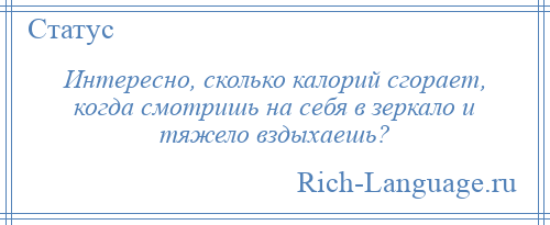 
    Интересно, сколько калорий сгорает, когда смотришь на себя в зеркало и тяжело вздыхаешь?