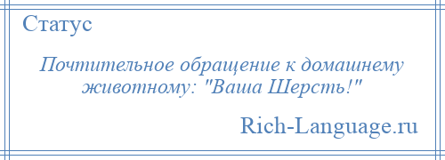 
    Почтительное обращение к домашнему животному: Ваша Шерсть! 