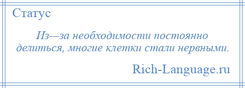 
    Из—за необходимости постоянно делиться, многие клетки стали нервными.