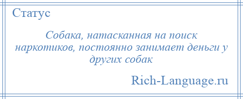 
    Собака, натасканная на поиск наркотиков, постоянно занимает деньги у других собак