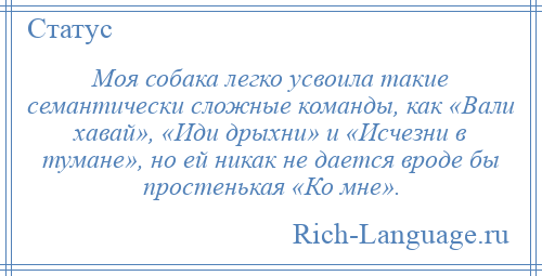 
    Моя собака легко усвоила такие семантически сложные команды, как «Вали хавай», «Иди дрыхни» и «Исчезни в тумане», но ей никак не дается вроде бы простенькая «Ко мне».