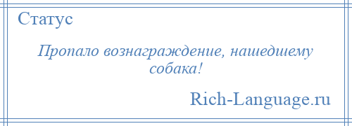 
    Пропало вознаграждение, нашедшему собака!