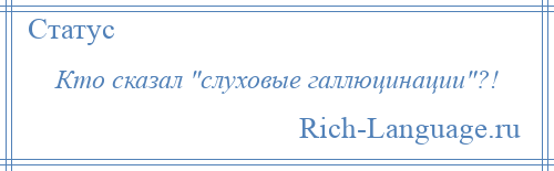 
    Кто сказал слуховые галлюцинации ?!