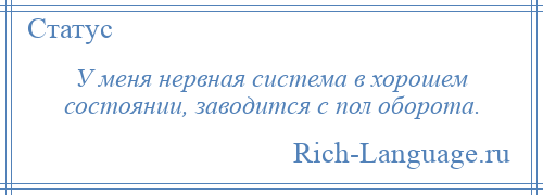 
    У меня нервная система в хорошем состоянии, заводится с пол оборота.