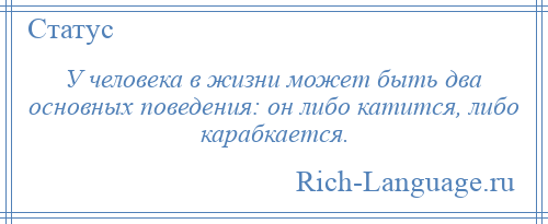 
    У человека в жизни может быть два основных поведения: он либо катится, либо карабкается.