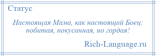 
    Настоящая Мама, как настоящий Боец: побитая, покусанная, но гордая!