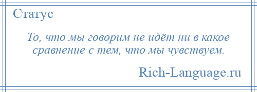 
    То, что мы говорим не идёт ни в какое сравнение с тем, что мы чувствуем.