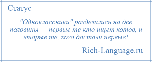 
     Одноклассники разделились на две половины — первые те кто ищет котов, и вторые те, кого достали первые!