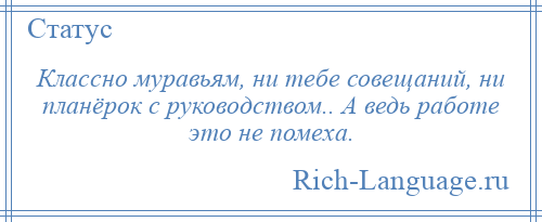 
    Классно муравьям, ни тебе совещаний, ни планёрок с руководством.. А ведь работе это не помеха.