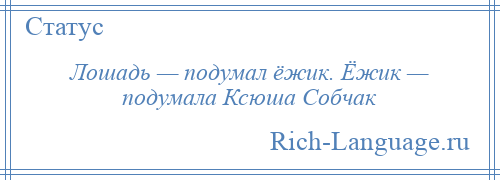 
    Лошадь — подумал ёжик. Ёжик — подумала Ксюша Собчак