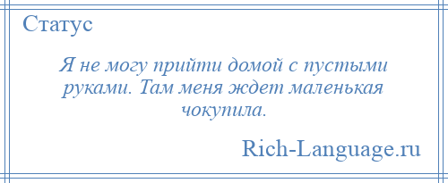 
    Я не могу прийти домой с пустыми руками. Там меня ждет маленькая чокупила.