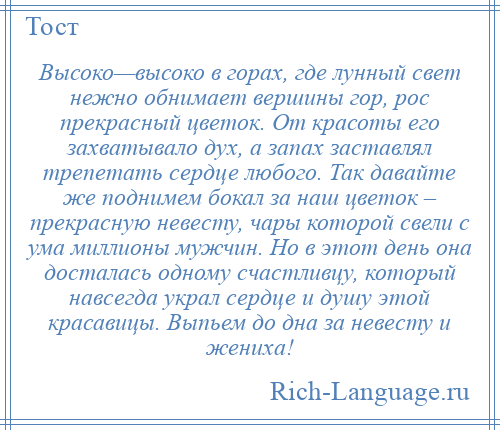 
    Высоко—высоко в горах, где лунный свет нежно обнимает вершины гор, рос прекрасный цветок. От красоты его захватывало дух, а запах заставлял трепетать сердце любого. Так давайте же поднимем бокал за наш цветок – прекрасную невесту, чары которой свели с ума миллионы мужчин. Но в этот день она досталась одному счастливцу, который навсегда украл сердце и душу этой красавицы. Выпьем до дна за невесту и жениха!