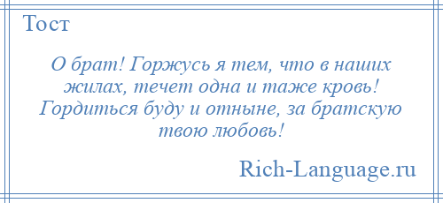 
    О брат! Горжусь я тем, что в наших жилах, течет одна и таже кровь! Гордиться буду и отныне, за братскую твою любовь!