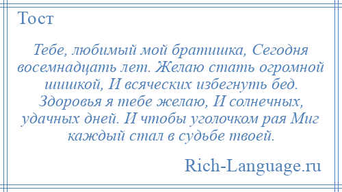 
    Тебе, любимый мой братишка, Сегодня восемнадцать лет. Желаю стать огромной шишкой, И всяческих избегнуть бед. Здоровья я тебе желаю, И солнечных, удачных дней. И чтобы уголочком рая Миг каждый стал в судьбе твоей.