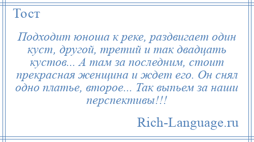 
    Подходит юноша к реке, раздвигает один куст, другой, третий и так двадцать кустов... А там за последним, стоит прекрасная женщина и ждет его. Он снял одно платье, второе... Так выпьем за наши перспективы!!!