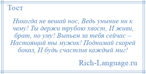 
    Никогда не вешай нос, Ведь уныние ни к чему! Ты держи трубою хвост, И живи, брат, по уму! Выпьем за тебя сейчас – Настоящий ты мужик! Поднимай скорей бокал, И будь счастлив каждый миг!